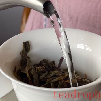Tasting Pu-er Tea for Best Flavor