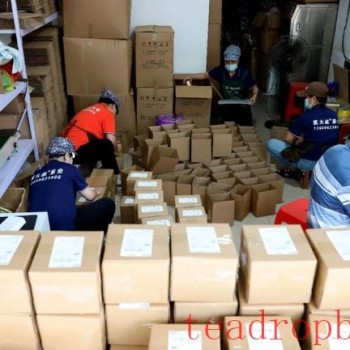 Thriving Tea Sales Boost Sanjiang County-s Industry