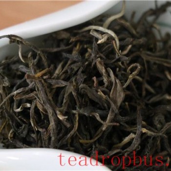 Everyday Storage Methods for Green Tea at Home