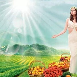 Health Knowledge: 7 Basic Indicators of Physical Health