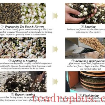 The Future of Scented Tea: How iTeaworld is Systematizing a Century-Old Craft for Tea Lovers to Rediscover