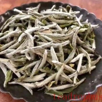 The Efficacy and Nutritional Value of White Tea
