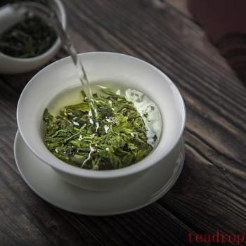 Brewing Techniques and Water Temperature for Green Tea—Everything You Need to Know!