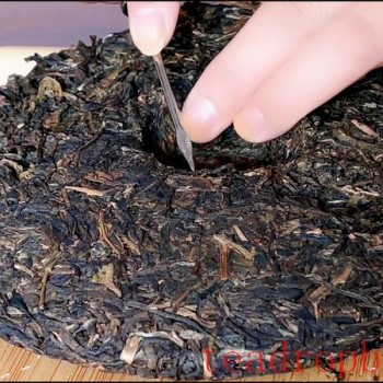 Pu-er Tea Cake How to Properly Pry Open