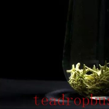 The Awakening of Spring and Tea: An Elegant Gathering Full of Spring’s Vitality