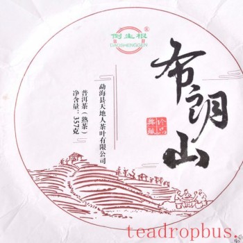 Tasting Pu-er Tea