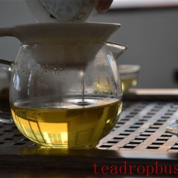 Pu-er Tea Legend: Exploring the Millennia of Sheng Pu-er and Shou Pu-er