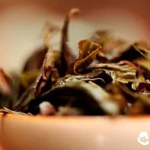 【Learning Tea】Oolong Tea Classification - Understand in 1 Minute