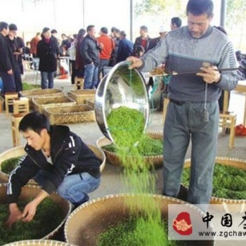 Business Strategies for Boosting Tea Sales During Off-Season