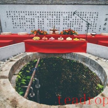 Daye: Inheriting the "Menghai Flavor" Through Intelligent Fermentation
