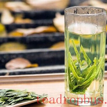 One Taste of Tea and Zen: Upholding Our Original Aspirations Amidst the Impermanence of Life