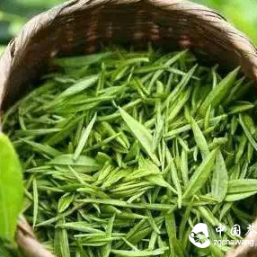 What Exactly Is Being Fermented in Tea?