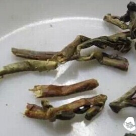 Tea Stems: Do You Hold a Grudge Against Them?