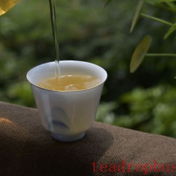 Drink These 5 Teas to Cool Down the Heat of Summer!