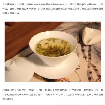 White Tea Speaks: Reasons to Choose Fuding White Tea
