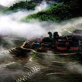 What is Tanyang Gongfu Tea?