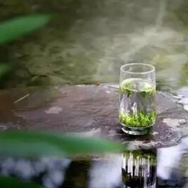 Why Are More and More People Fond of Tea?