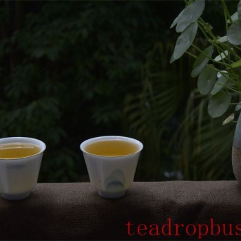 The Autumn Melody and the Fragrant Tea, Painting a Scroll of Poetic Dialogue Between Tea and Autumn