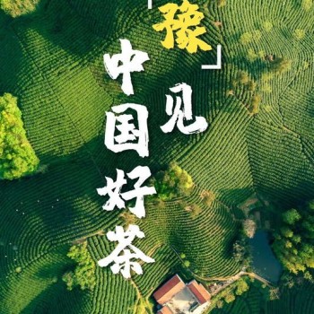 This Northern Province Was Once the Absolute Center of Chinese Tea!