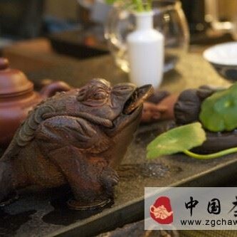 Tea Pet — Why Does a Tea Pet Change Color?