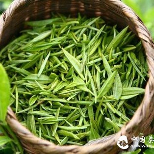 Brewing Good Tea Isn't That Hard! A Simple and Practical Tea Brewing Guide You Shouldn't Miss