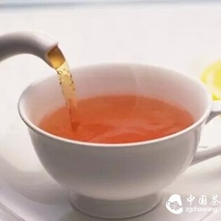 Black Tea Is So Amazing, I'm Amazed