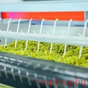 Research Status of Digital Processing in Tea