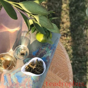 From Youth to Old Age, the Fluctuations of Time in the Aroma of Tea