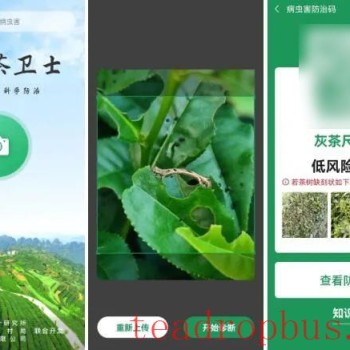Xinchang Tea Guardian, 2s Identification, Precise Prevention and Control, Province-wide Sharing