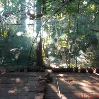 12/09/15: tea tasting in the secret garden!