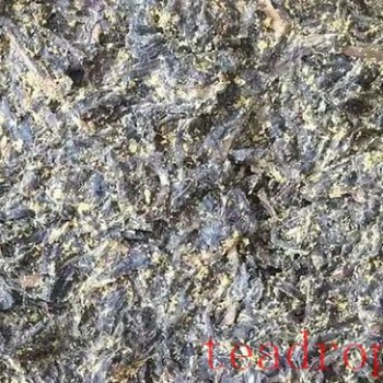 The Liu Zhonghua Academy Team Discusses the Gastrointestinal Regulation Efficacy of Anhua Dark Tea