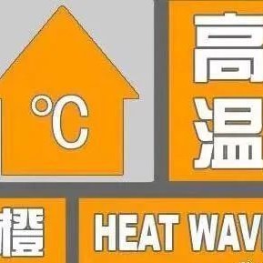 High Temperatures Approach: How Should Tea Plantations Be Managed?