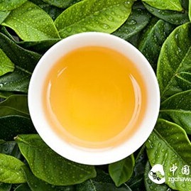Reasonable Tea Drinking for a Healthy Life