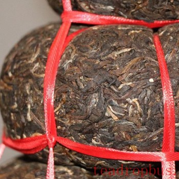 How to Brew Jingua Tribute Tea