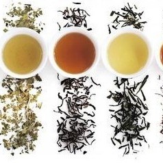 Find the Right Tea for You