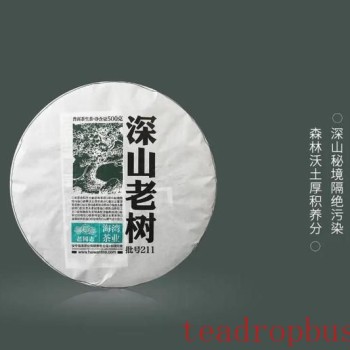 Puer Tea-s Everyday Tea: What Does it Mean and How to Select It?