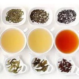 Learning Tea from Scratch: Start with These 4 Stages