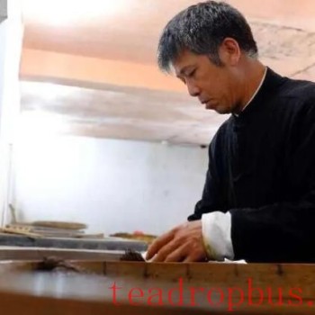 The Craft of Guidong Linglong Tea