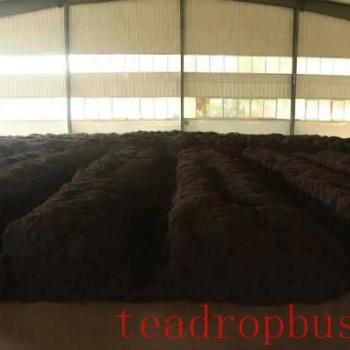 How to Build a Piling Fermentation Workshop from Scratch?