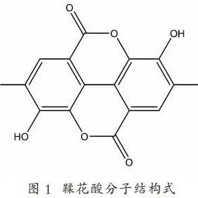 Detection Technology: Determination of Ellagic Acid Content in Pu-er Ripened Tea by High-Performance Liquid Chromatography