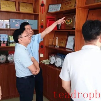 Investigation at the Hongshan Town Funnong Tea Specialized Cooperative by the Supply and Marketing Cooperatives of Guangdong Province