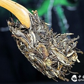 Pry Tea, Please Be Gentle