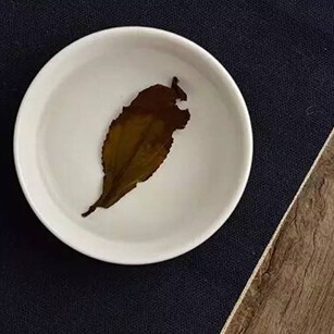 The Leaf Bottom, All the Secrets and Details of a Brew of Tea