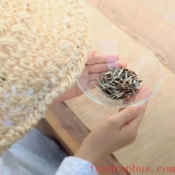 A Serene Corner, Unlocking the Wonders of Tea in Your Heart