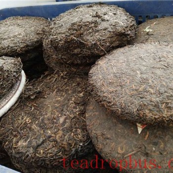 How to Determine if Tea Has Molded or Spoiled?