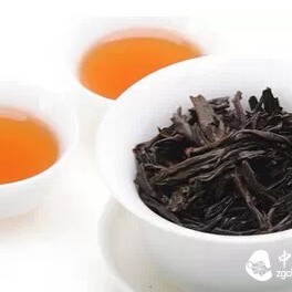 Five Misconceptions About Da Hong Pao Tea