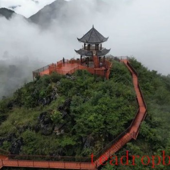Mezijing Tea Mountain in Yongde County: Fresh Tea Steeps the Heart, Pure Breeze Fills the Hills
