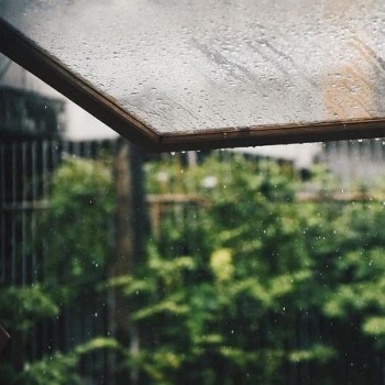 Why Doesn’t Tea Brewed on a Rainy Day Smell as Good?