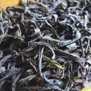 Phoenix Dancong Tea Brewing Techniques and Mnemonics