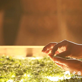 Little Yellow Tea, Actually Has Such Great Effects!!